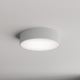 Badkamer plafondlamp CLEO 2xE27/24W/230V d. 30 cm grijs IP54