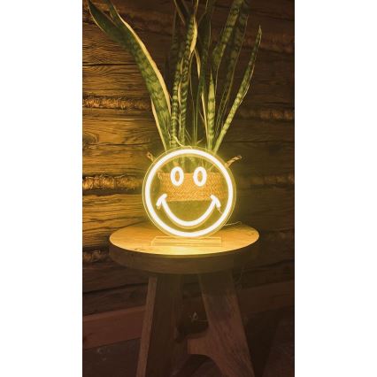 2Kids Toys - LED-neon tafeldecoratie LED/5W/USB smiley