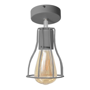Aan plafond gevestigde hanglamp TUBE II 1xE27/15W/230V grijs