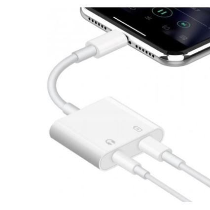 Adapter voor AUX + Lightning ingang