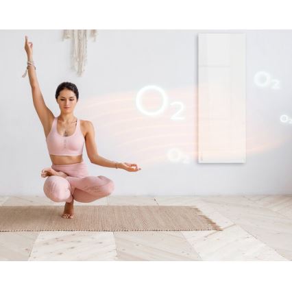 AENO - Slim elektrisch infraroodpaneel 700W timer/thermostaat IP44 Wi-fi wit