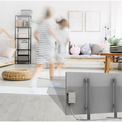 AENO - Slim elektrisch infraroodpaneel met LED scherm 700W timer/thermostaat IP44 Wi-fi grijs