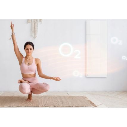 AENO - Slim elektrisch infraroodpaneel met LED-display 700W timer/thermostaat IP44 Wi-fi wit