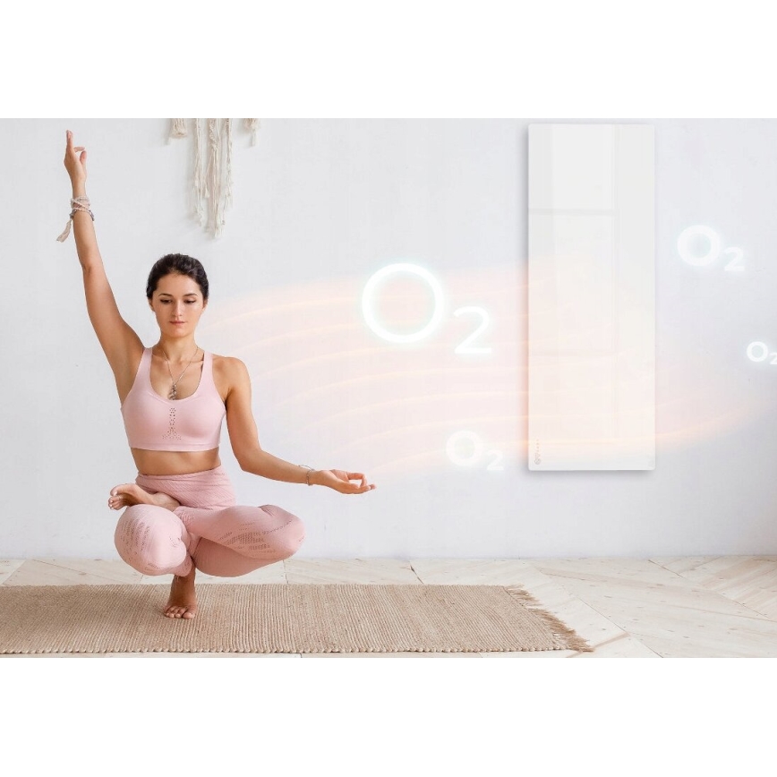 AENO - Slim elektrisch infraroodpaneel met LED scherm 700W timer/thermostaat IP44 Wi-fi wit