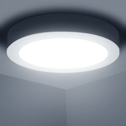 Aigostar - LED Aan plafond bevestigde lamp LED/12W/230V diameter 17,4 cm 6500K wit