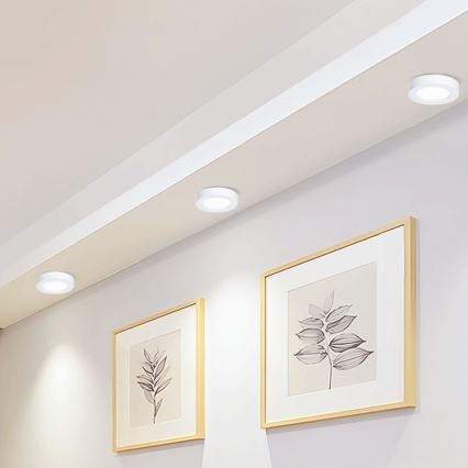 Aigostar - LED Aan plafond bevestigde lamp LED/12W/230V diameter 17,4 cm 6500K wit