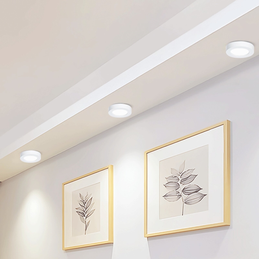 Aigostar - LED Aan plafond bevestigde lamp LED/12W/230V diameter 17,4 cm 6500K wit