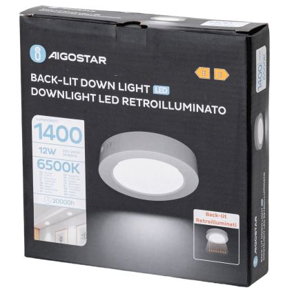 Aigostar - LED Aan plafond bevestigde lamp LED/12W/230V diameter 17,4 cm 6500K wit