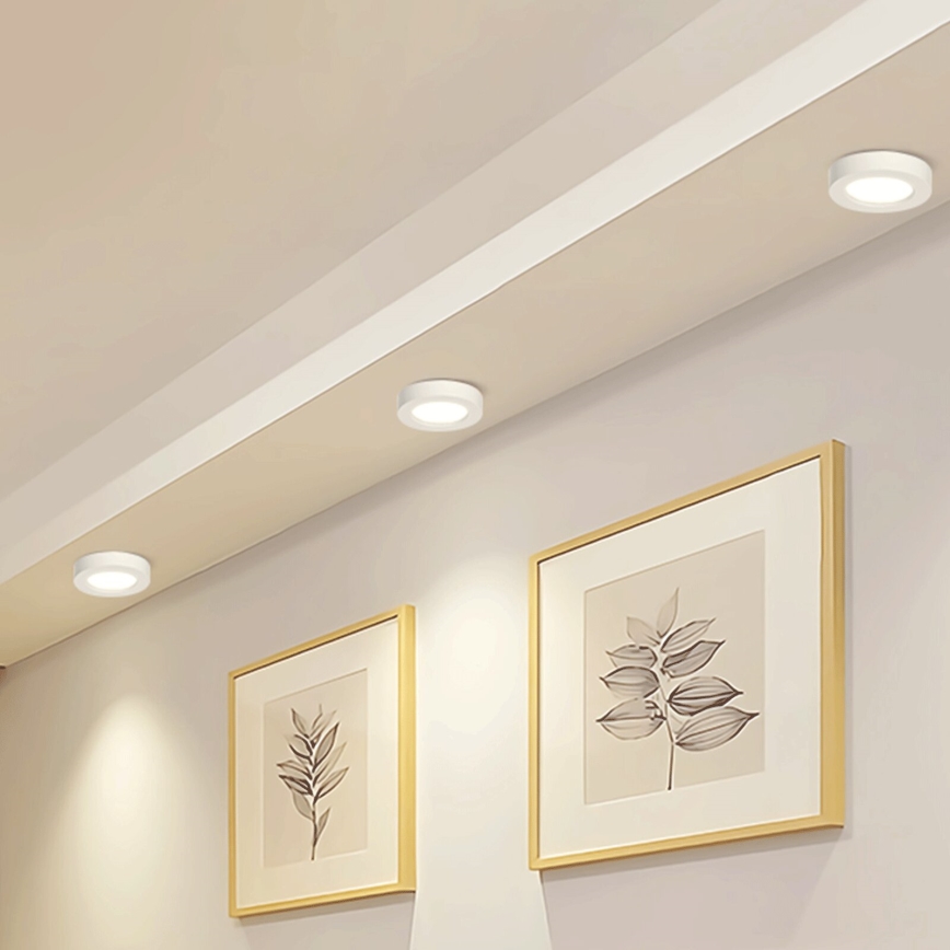 Aigostar - LED Aan plafond bevestigde lamp LED/18W/230V diameter 22,6 cm 4000K wit