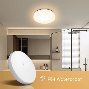 Aigostar - LED Badkamer plafondlamp LED/24W/230V 4000K IP54