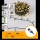 Aigostar - LED Buiten Kerstverlichting 300xLED/8 functies 18m IP44 warm wit