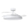Aigostar - LED Dimbare plafondlamp met ventilator MESH LED/50W/230V 2700-6500K zwart + afstandsbediening