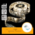 Aigostar - LED kerstverlichting 100xLED/3xAA 10 m warm wit zilver