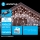 Aigostar - LED-lichtsnoer voor buiten 100xLED/8 functies 8x0,6m IP44 koel wit