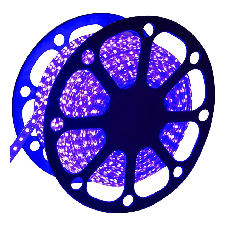 Aigostar - LED Lichtstrip voor buiten 50m LED/300W/230V blauw IP65