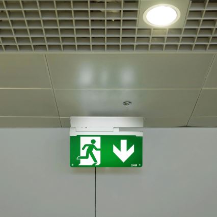 Aigostar - LED Noodverlichting EMERGENCY EXIT LED/3,6W/230V 6500K 500mAh