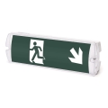 Aigostar - LED Noodverlichting EMERGENCY EXIT LED/4W/230V IP65 6500K 600mAh