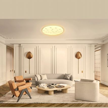 Aigostar - LED Plafondlamp LED/12W/230V 3000K diameter 26cm