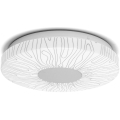 Aigostar - LED Plafondlamp LED/12W/230V 3000K diameter 26cm