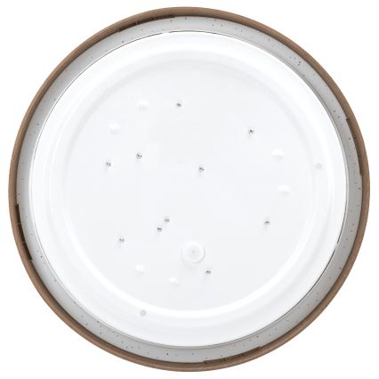 Aigostar - LED Plafondlamp LED/12W/230V 6500K diameter 26,3 cm