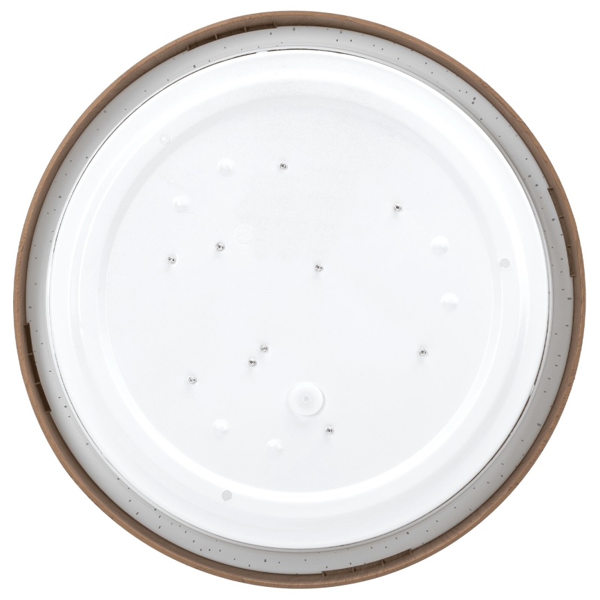 Aigostar - LED Plafondlamp LED/12W/230V 6500K diameter 26,3 cm