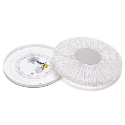 Aigostar - LED Plafondlamp LED/12W/230V 6500K diameter 26cm