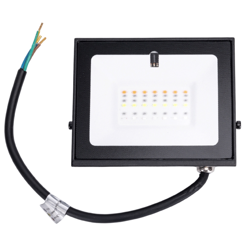 Aigostar - LED RGB schijnwerper LED/10W/230V IP65 + afstandsbediening