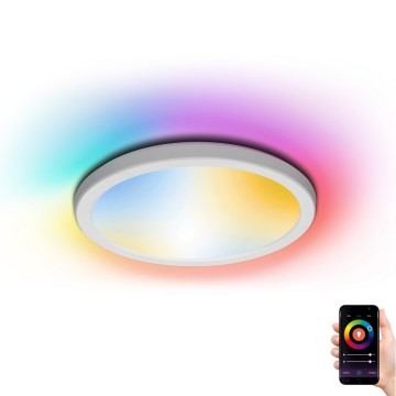 Aigostar - LED RGBW Dimbare plafondlamp LED/19W/230V 2700-6500K Wi-Fi