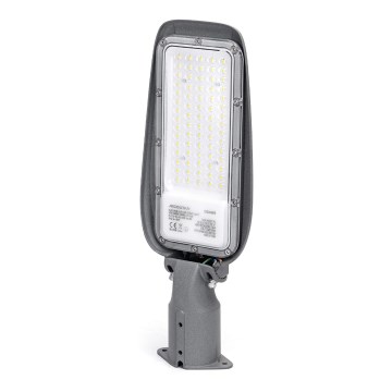 Aigostar - LED straatlamp SLIM LED/50W/230V 6500K IP65
