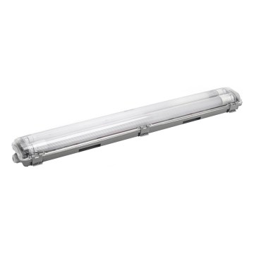 Aigostar - LED TL-buis werkverlichting 2xG13/9W/230V 4000K 66,6 cm IP65