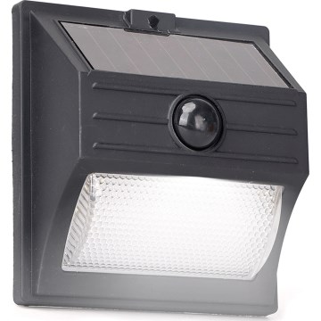 Aigostar - LED zonnepanelenlamp met sensor LED/3,7V 6500K 500 mAh IP65 zwart