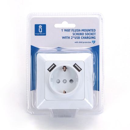 Aigostar - SCHUKO-wandcontactdoos 250V + 2x USB met afdekraam wit