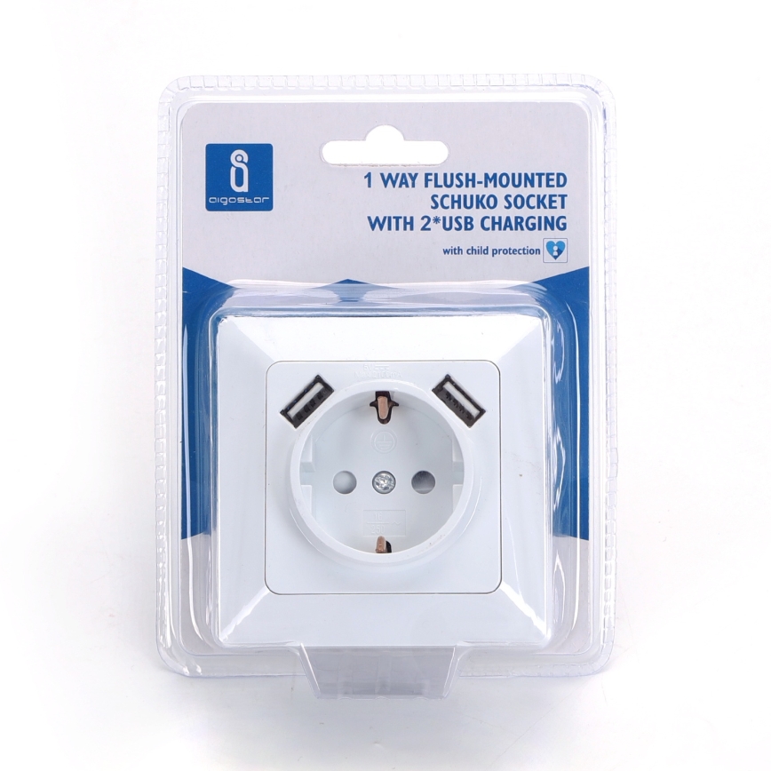 Aigostar - SCHUKO-wandcontactdoos 250V + 2x USB met afdekraam wit