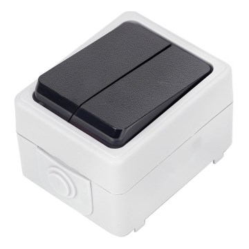Aigostar - Serieschakelaar voor huishoudelijk gebruik 250V/10A IP54