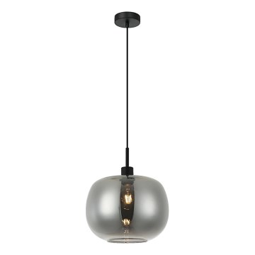 ALAN hanglamp aan snoer 1xE27/40W/230V rookzwart