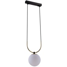 Amplex - Hanglamp aan een koord 1xE14/15W/230V zwart