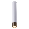 Amplex - Spotlamp 1xGU10/10W/230V wit/goud