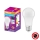 Antibacteriële LED Lamp A100 E27/13W/230V 6500K - Osram