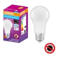 Antibacteriële LED Lamp A75 E27/10W/230V 6500K - Osram