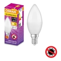 Antibacteriële LED Lamp B40 E14/4,9W/230V 2700K - Osram