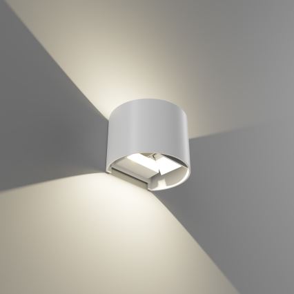 APLED - LED Wandlamp voor buiten OVAL 2xLED/3W/230V IP65