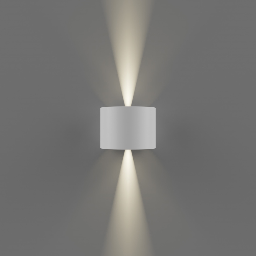 APLED - LED Wandlamp voor buiten OVAL 2xLED/3W/230V IP65