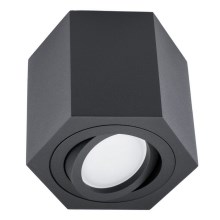 Areno - Zwarte Plafondlamp 1xGU10/30W/230V