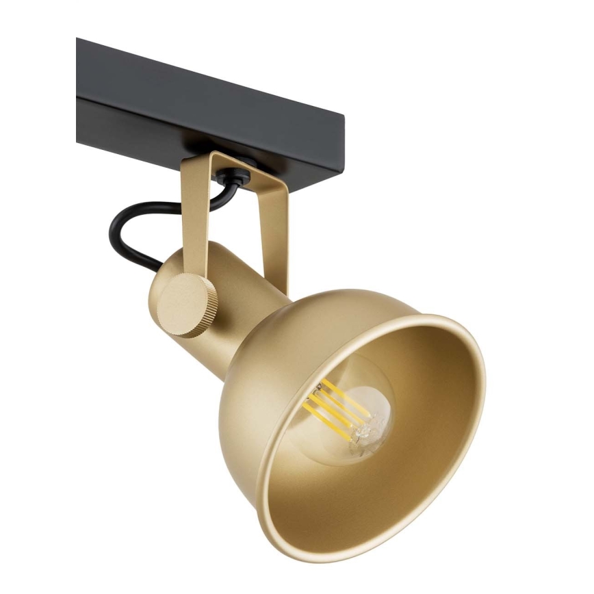 Argon 1801 - Spot LENORA 4xE14/7W/230V goud/zwart