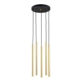 Argon 2109 - LED Hanglamp aan een koord SICILIA 5xLED/4,5W/230V