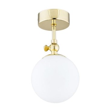 Argon 4001 - Badkamer opbouwlamp LATINA 1xE14/40W/230V IP44