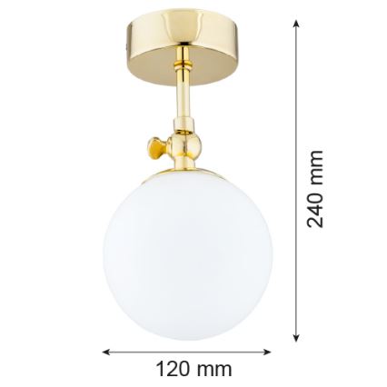 Argon 4001 - Badkamer opbouwlamp LATINA 1xE14/40W/230V IP44