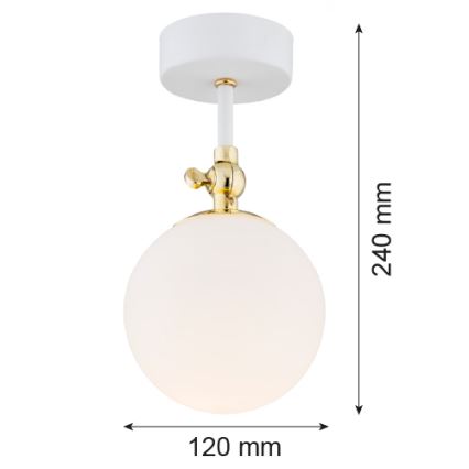 Argon 4002 - Badkamer opbouwlamp LATINA 1xE14/7W/230V IP44 wit/goud