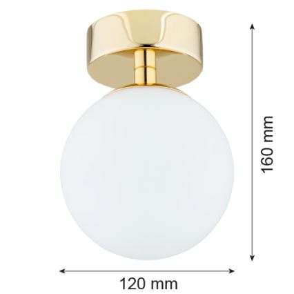 Argon 4004 - Plafondverlichting FLAVIO 1x E14/7W/230V