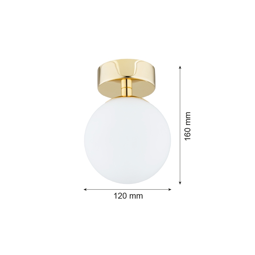 Argon 4004 - Plafondverlichting FLAVIO 1x E14/7W/230V